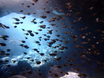 P3185592
