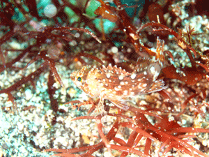 P3260527
