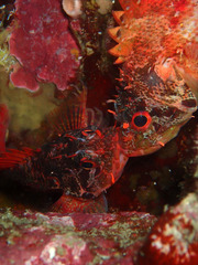 P6043522