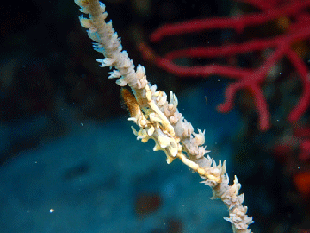 P3185535
