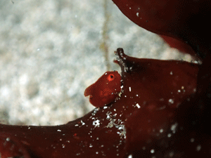 P4116009