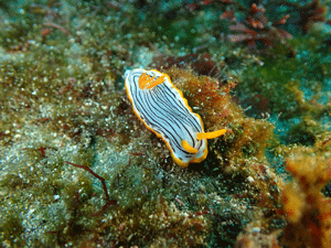 P4100135