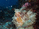 P3020300