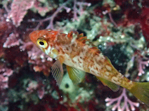 P3280340