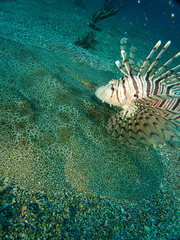 P6292898