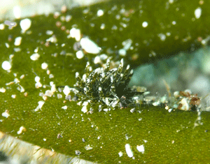 P3260615