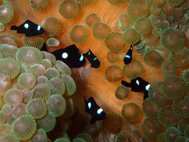 P9291580