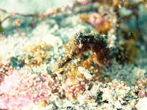 P3260595