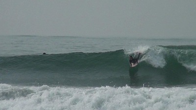 DSC01561 (2)