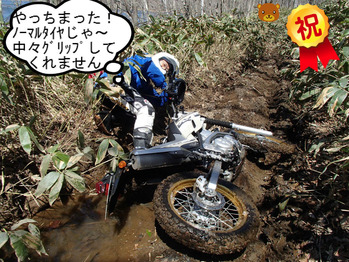 BlogPaint