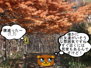 IMGP8574.JPG