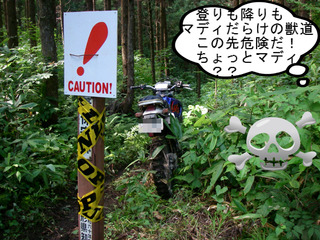IMGP4548.JPG