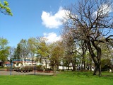 2012-0517-101819744