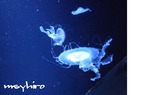 NEC_0070a