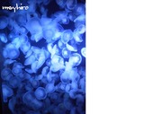 NEC_0072a