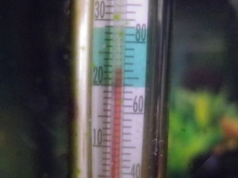 dc092407