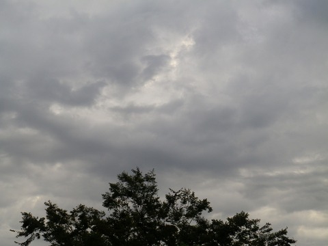dc092401