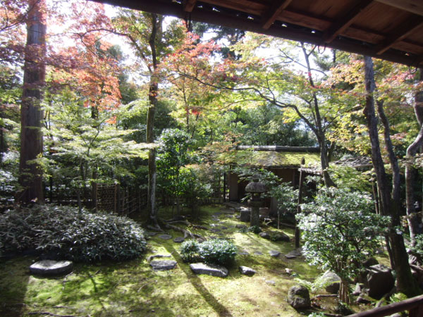 2011-11-15-5妙心寺