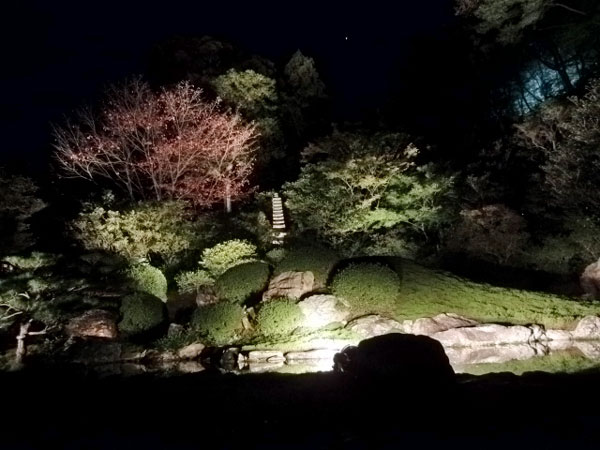 2011-11-15-3青蓮院