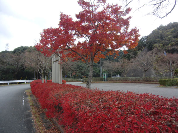 亀川ダム3