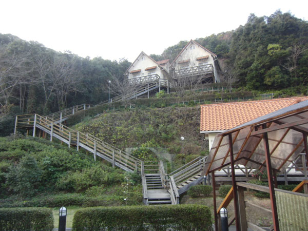 河浦町9