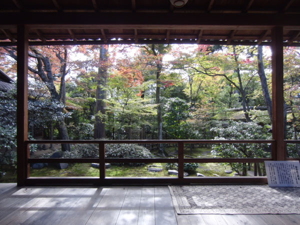 2011-11-15-6妙心寺