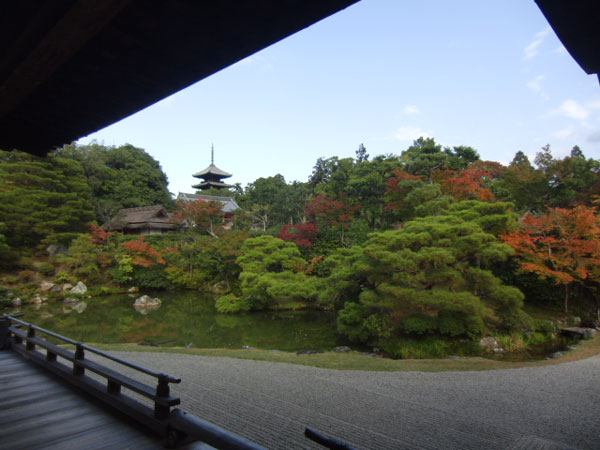 2011-11-15-3仁和寺