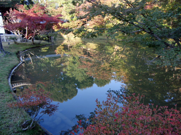 2011-11-16-1-3高台寺