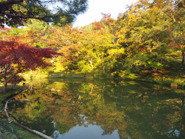 2011-11-16-1-2高台寺