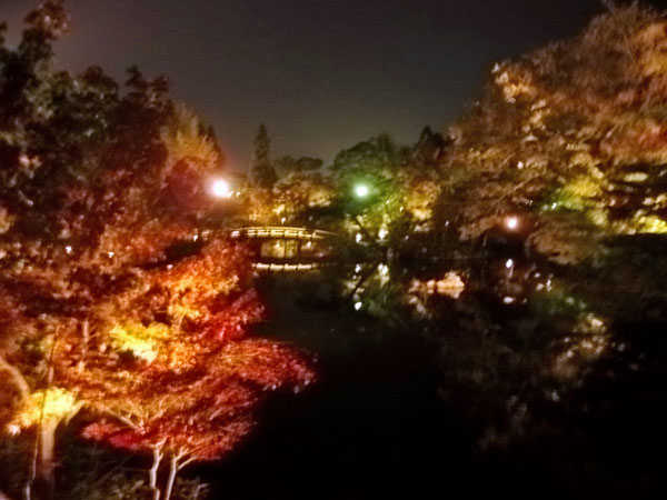 2011-11-14-10京都・永観堂