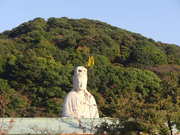 2011-11-16-1-6八坂の塔