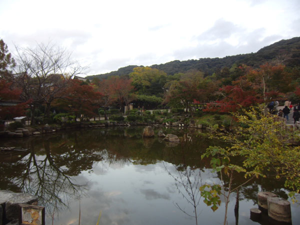 2011-11-15円山公園