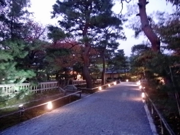 2011-11-14-8京都・大覚寺