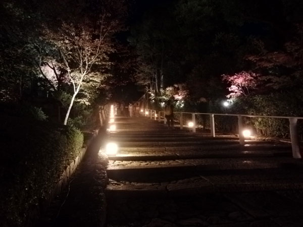 2011-11-15-3知恩院