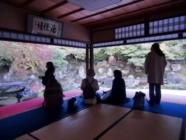 2011-11-16-1-2圓徳院