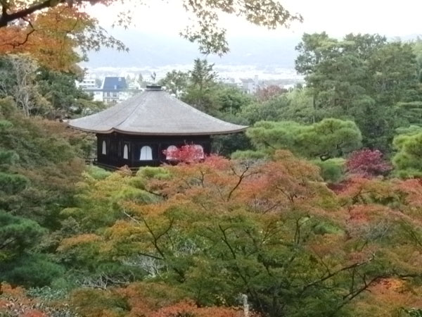 京都観光3