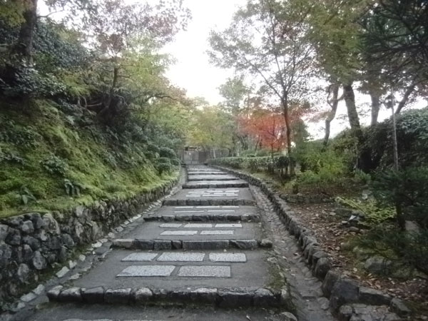 2011-11-14-6京都・化野念仏