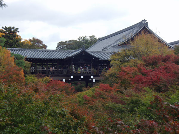 2011-11-16-1-1東福寺
