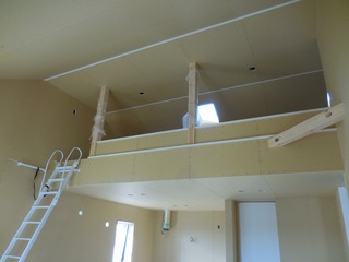 DSCN0336
