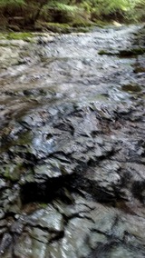 29a3e730.jpg