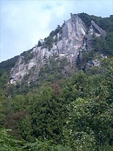 383d6c42.jpg