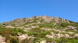 9a13a58e.jpg