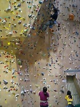 9c732a20.jpg