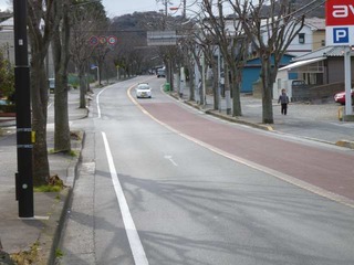 P1010010-2