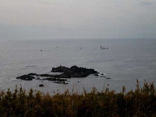 P1000988-2