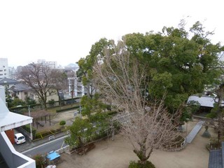 P1010012-2