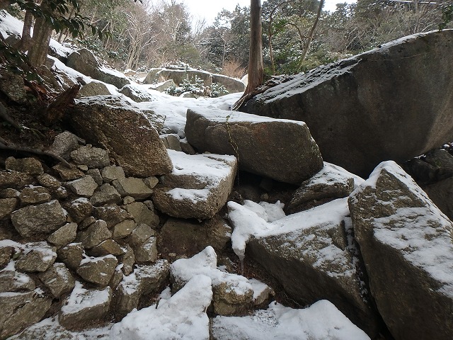 P3090017