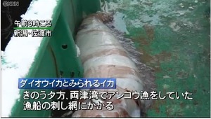 名称sasasasa未設定