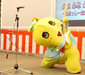 d6c13553.jpg