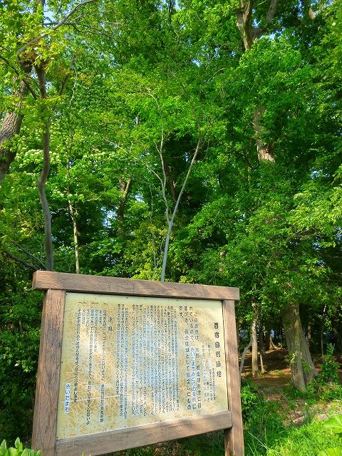 s-P1010499